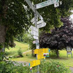 Nix war's mit Sonnenschein! Nix war's mit Durchblick im Schilderwald! Quo vadis Meinrado?!