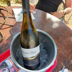 Der köstliche Wein aus Pouilly