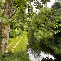 Zisi gefällt die Spiegelung im Fluss.