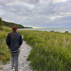 Zisi wandert zum Nordstrand.