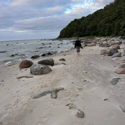 Der Nordstrand.
