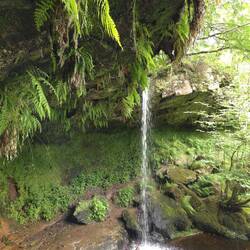 Glenburn Waterfalls