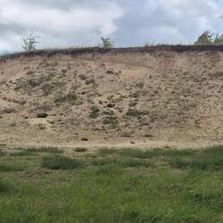 Maglarps Naturreservat: Sandgrube mit Niströhren der Uferschwalbe und Bienenfresser.