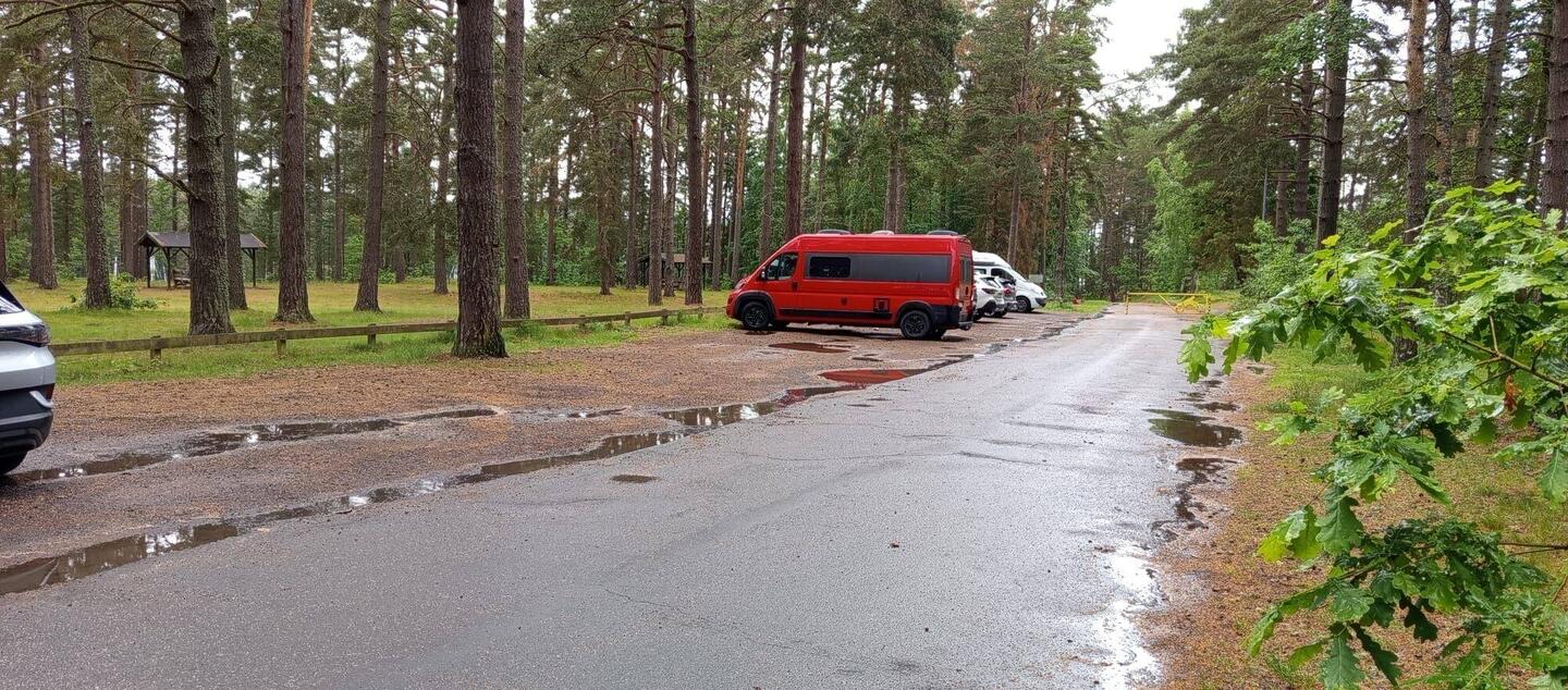 Sonntag, 14.6.: Stellplatz vor dem Naturreservat in Bankeryd am Vättern.
