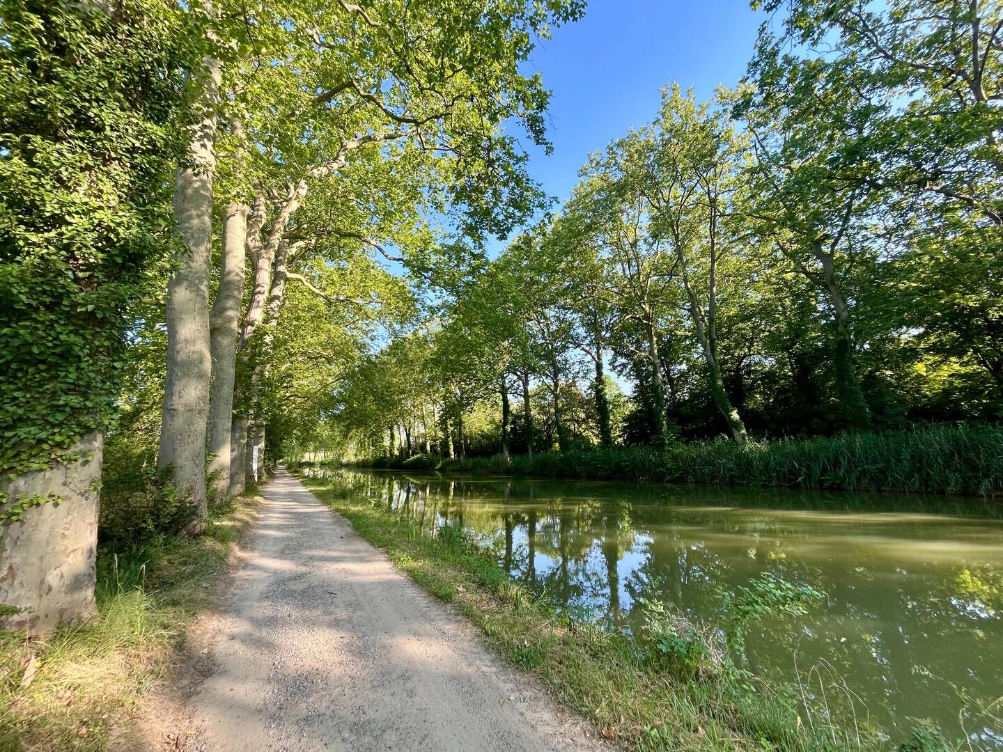 Paysage du jour