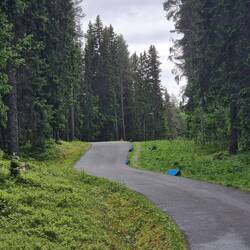Laut Anina sind das "Schneggenhüsli" um darin für die Überquerung zu warten.