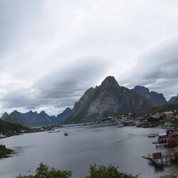 Reine