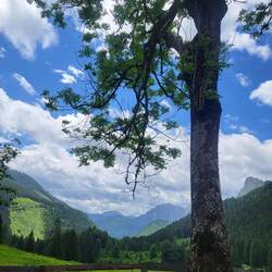 An der Gsollalm.