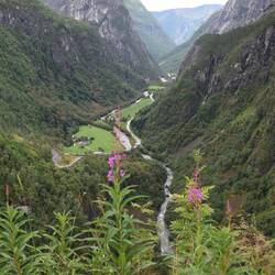 Nærøydal