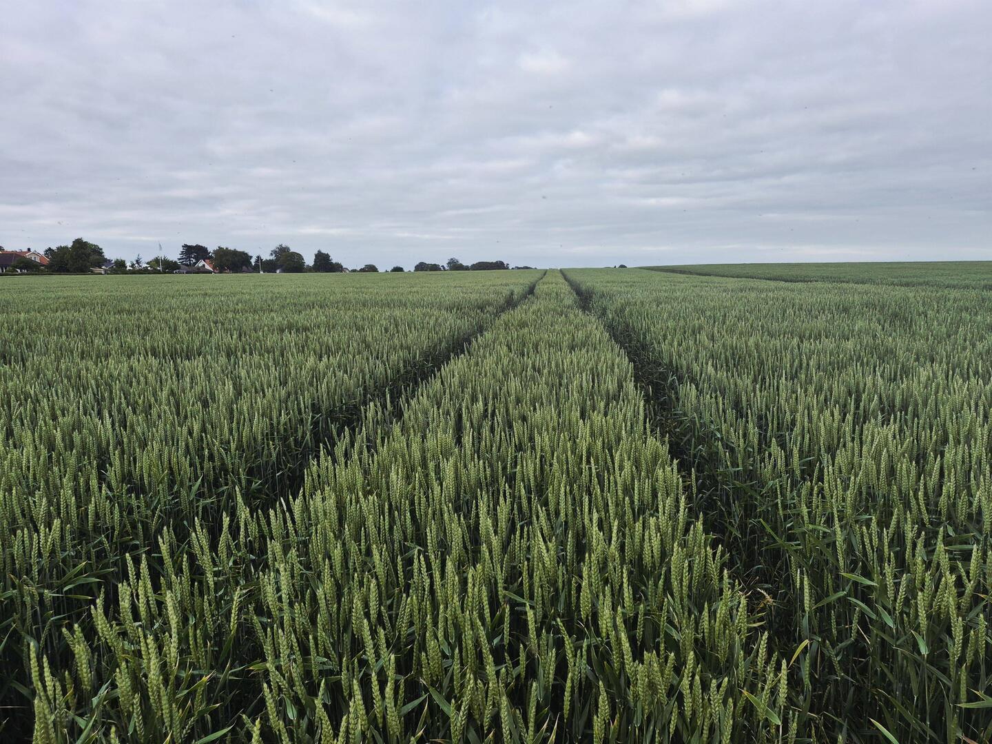 umgebung stellplatz von letzter nacht