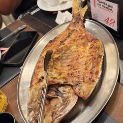 Riesenfisch