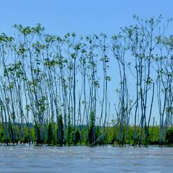 Hochwasser