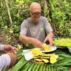 Leckere Ananas als Vorspeise