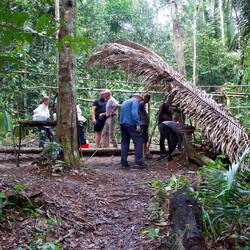 Barbecue im Urwald