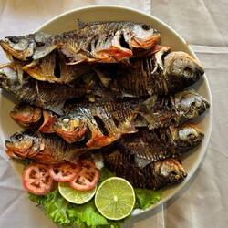 Unsere gefangenen Piranhas gab es zum Mittagessen