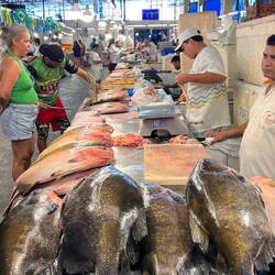 Was für Massen an Fisch - Weiterverkauf ins Land