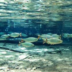 Spannende Unterwasserwelt