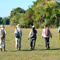 Die tapfere Wandergruppe