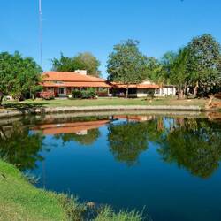 Teich hinter der Lodge voller Kaimane