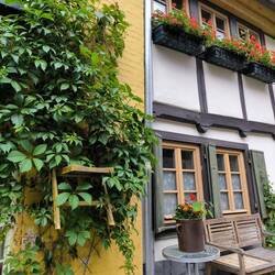 Direkt am Schloss