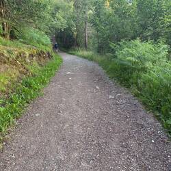 Very happy with this path and that shade.