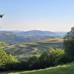 Leaving Fonfria