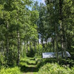 Zum Kloster gehören Wiesen und Wälder, die man für Wanderungen nutzen kann