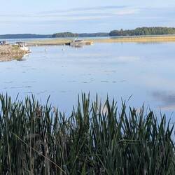 Der Puruvesi erinnert ein bisschen an den Balaton