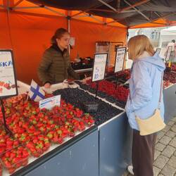 How do you say "berries" in Finnish?