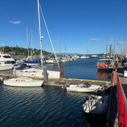 This picture is of the Comox Valley Harbour Authority. The one I stayed in. Can you find C-Traveler?