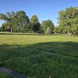 Hard to see where any of the hundreds of markers are here!