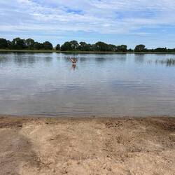 Sonne, warme Temperaturen: Zisi nutzt die erste Gelegenheit, um zu baden.