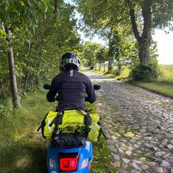Zisi fährt lieber im Gras.
