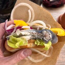 Feinstes Fischbrötchen.