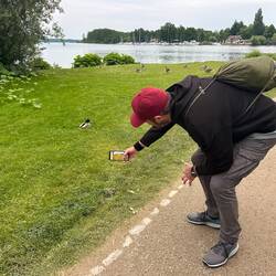 Toto shootet die Enten im besten Licht.
