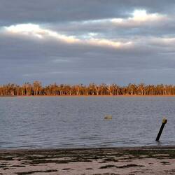 The sun setting on the trees lining the lake