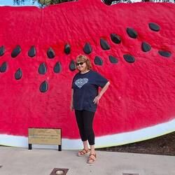 Chinchilla Big Melon