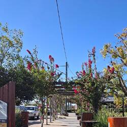 Miles main street
