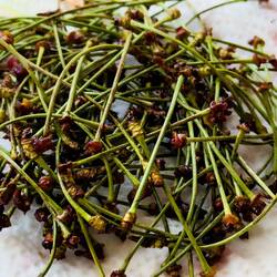 By the way, they say tea made by boiling cherry stems is a natural diuretic.