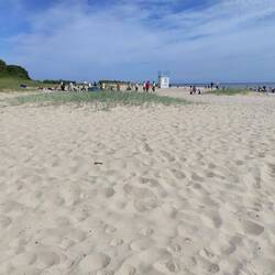 Sommer im Anmarsch