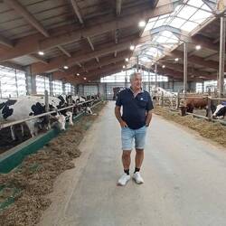 Einen Stall mit 200 Kühe und ca 100 Rinder und Kälber