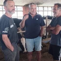 Hans, Marcel , Paul