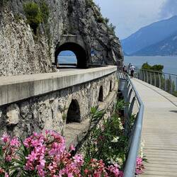 The cycle and pedestrian path of Limone sul Garda