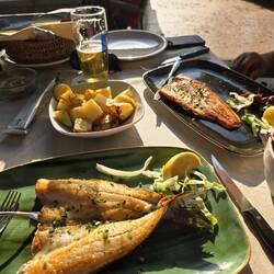 Lakeside dinner in Salo -- grilled seabass and trout -- delicious 😋.