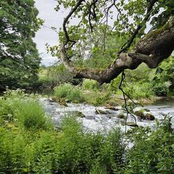 The River Coquet