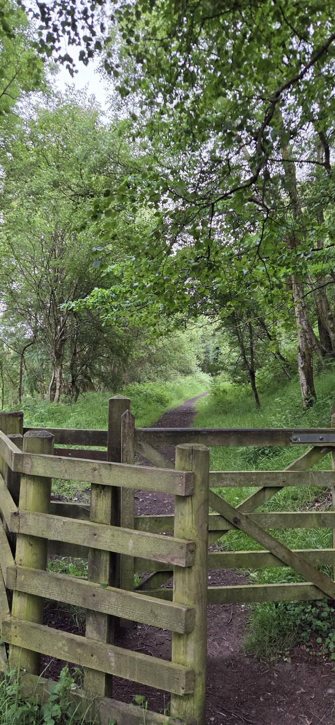 Disused railway track