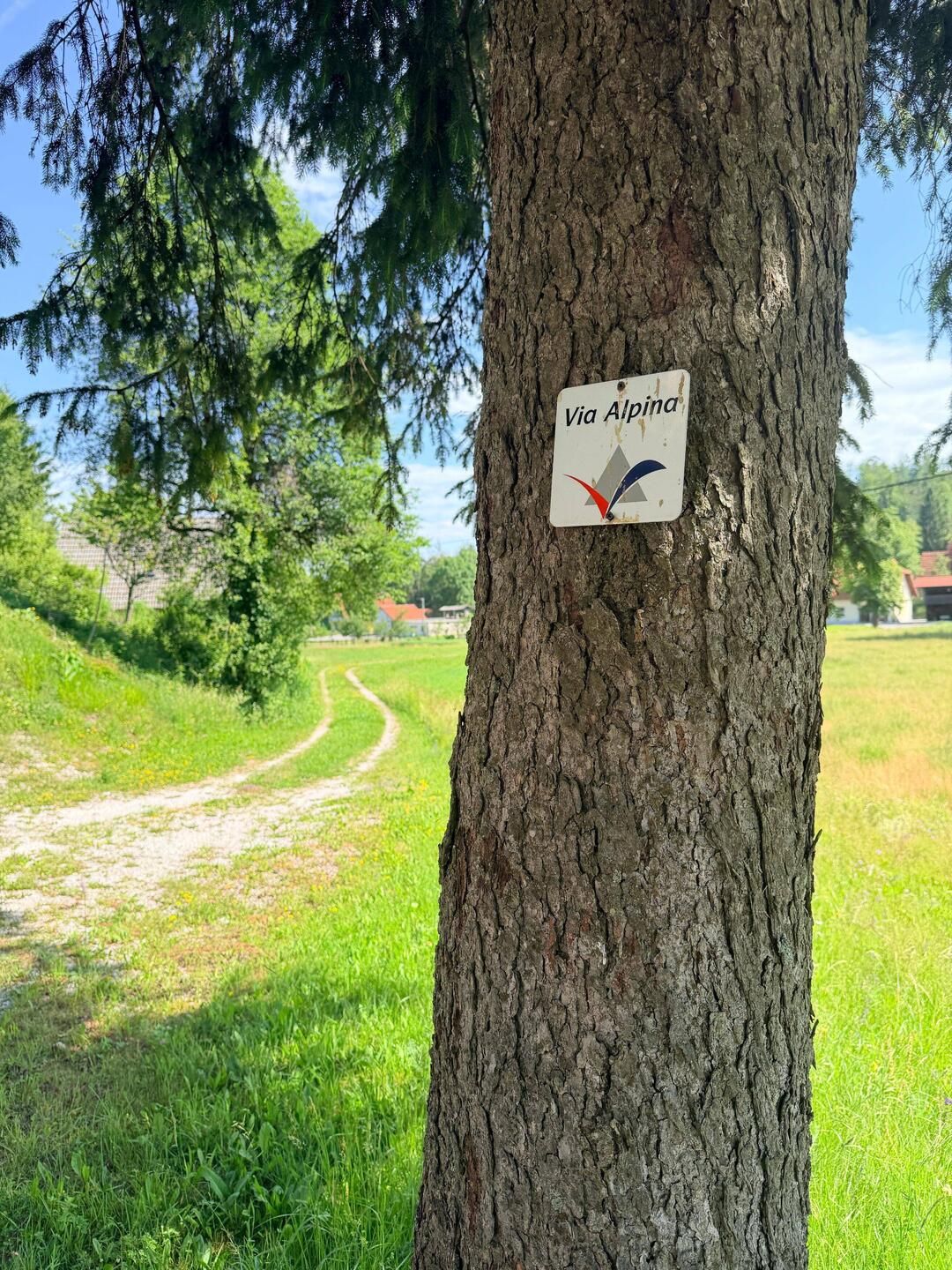 Die Schnitzeljagd geht weiter 🤪