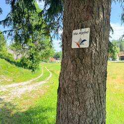 Die Schnitzeljagd geht weiter 🤪