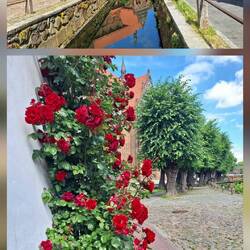 Die Frische Grube, ein regulierter Bach in der Altstadt von Wismar