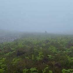Achim sucht den richtigen Wanderweg für den Abstieg